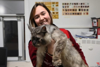 Yalova Belediyesi Çağrı Yaptı, Vatandaşlar Duyarsız Kalmadı