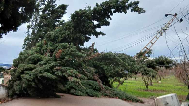 Yalova’da Fırtına Hayatı Olumsuz Etkiledi