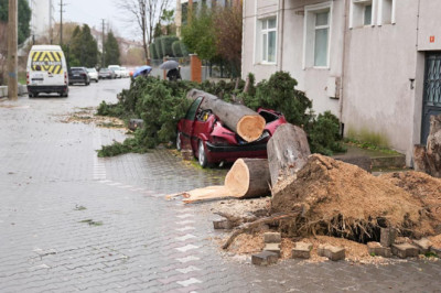 Yalova Belediyesi’nden Hava Durumu Uyarısı: Kuvvetli Rüzgar ve Kar Geliyor