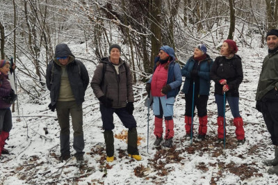 Yalova Güzellikleri