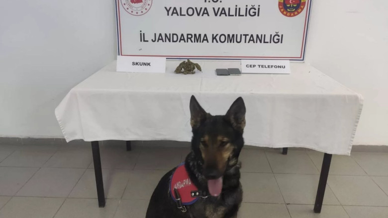 KADIKÖY’DE UYUŞTURUCU OPERASYONU