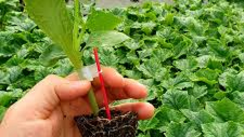 ÜRETİCİLERE DESTEK