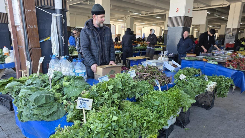 Yalova’da Örtüaltı Sebze Üretim Alanlarında Saha Çalışmaları Aralıksız Sürüyor