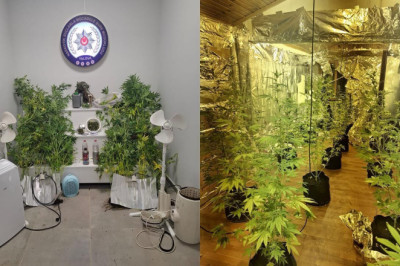 7 Suçtan Aranıyordu, Narkotik Baskınıyla Yakalandı