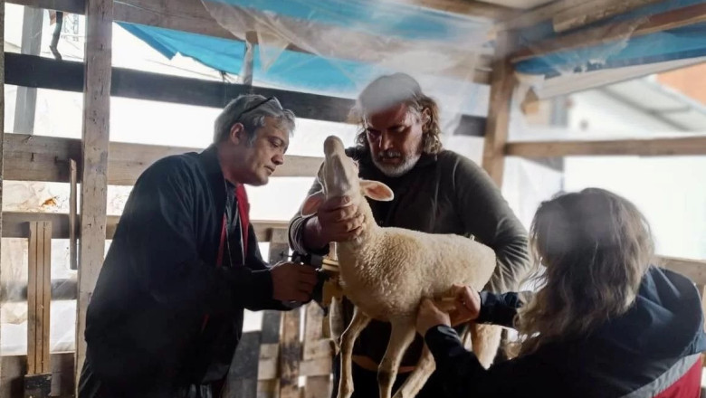 HAYVAN SAĞLIĞI İÇİN SAHADA YOĞUN ÇALIŞMA