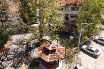 ANIT AĞAÇLAR KORUMA ALTINDA!