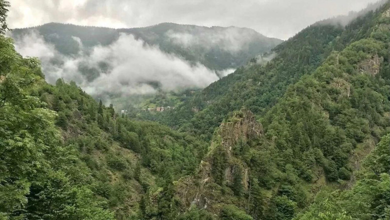 Yalova'da Ormanlarda Ateş Yakmak Yasak