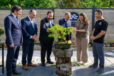 BONSAİ MÜZESİ’NDE İLK DUT HASADI