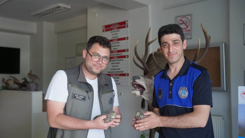 2 YAVRU BAYKUŞ BELEDİYEYE TESLİM EDİLDİ