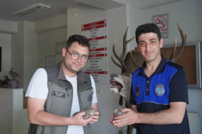 2 YAVRU BAYKUŞ BELEDİYEYE TESLİM EDİLDİ