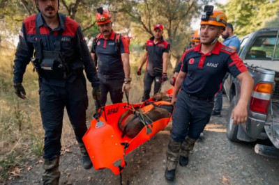 Su kuyusuna düşen köpeğin imdadına arama kurtarma ekipleri yetişti