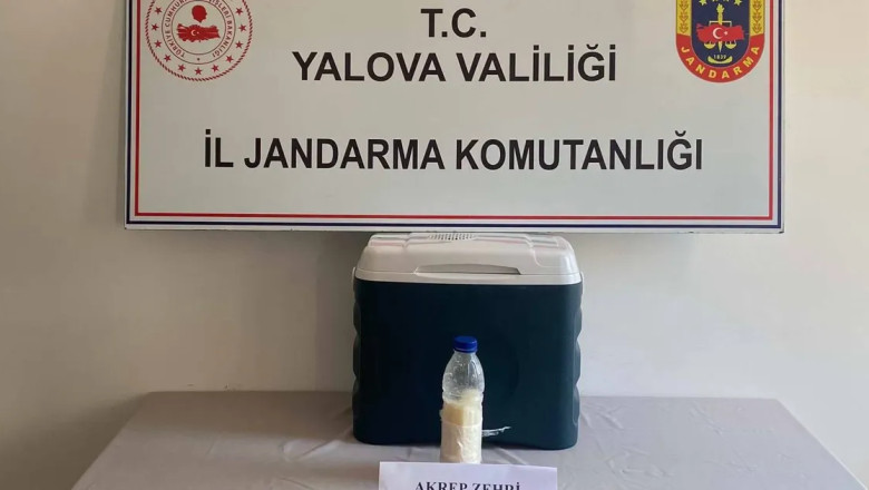 Çiftlikköy’de 500 mililitre akrep zehri yakalandı! 5 milyon dolar değerinde