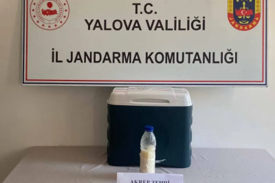 Çiftlikköy’de 500 mililitre akrep zehri yakalandı! 5 milyon dolar değerinde