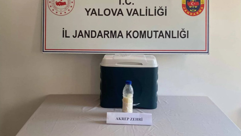 YALOVA’DA 5 MİLYON DOLARLIK AKREP ZEHRİ OPERASYONU