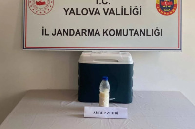 YALOVA’DA 5 MİLYON DOLARLIK AKREP ZEHRİ OPERASYONU