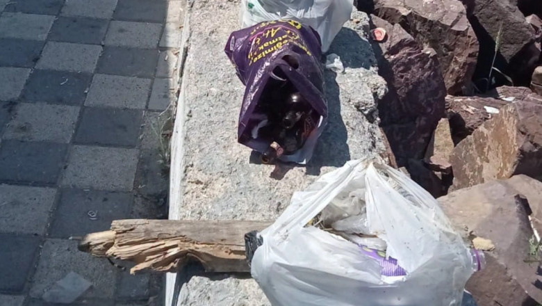 Çınarcık'ta sahil şeridinde kapsamlı temizlik seferberliği