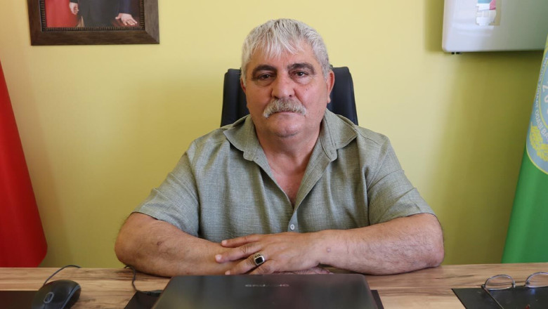 Yalova'da Yaban Domuzu Köylere İndi, Çiftçiler Endişeli!