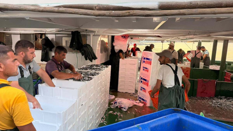 YALOVA’DA BALIKÇILIĞIN 3 YILLIK TABLOSU