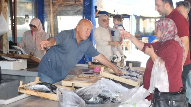 YALOVA’DA 3 ADET PALAMUT 200 TL