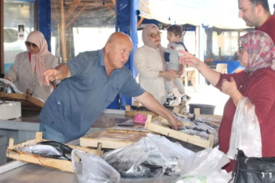 YALOVA’DA 3 ADET PALAMUT 200 TL