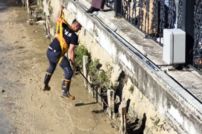 Yalova'da İtfaiye Ekipleri Derede Mahsur Kalan İki Kediyi Kurtardı