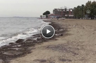 Yalova'da 25 Metre Çekilen Deniz Eski Haline Döndü