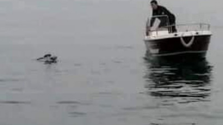 Balıkçı Ağlarına Takılan Martının İmdadına Polis Yetişti