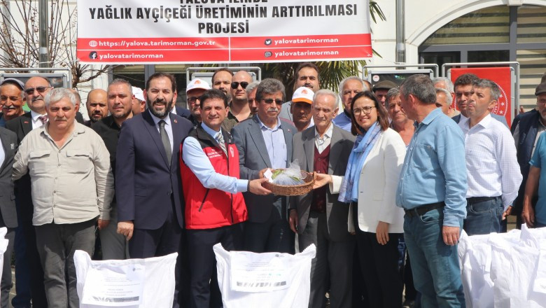 ÇİFTÇİLERE AYÇİÇEĞİ TOHUMU DAĞITILDI