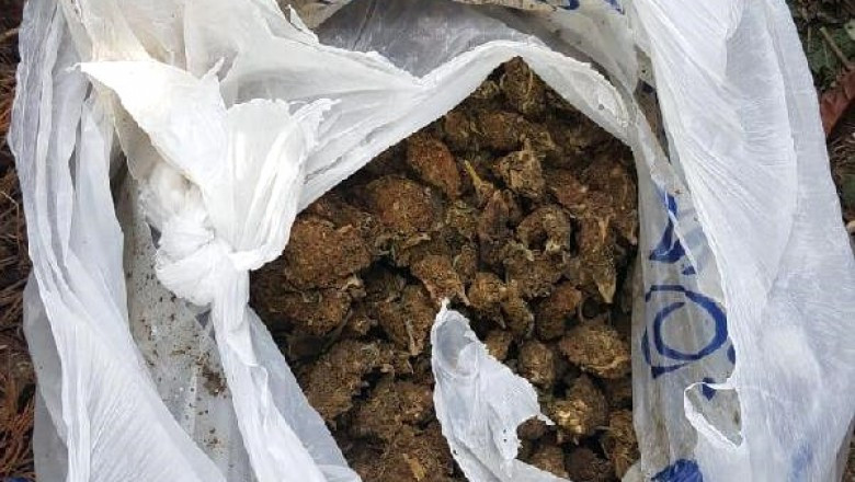 Dur' İhtarına Uymayan Şüphelinin Otomobilinden Skunk Çıktı