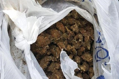 Dur' İhtarına Uymayan Şüphelinin Otomobilinden Skunk Çıktı