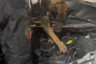 Erzurum'da aküye gizlenmiş 3 kilo uyuşturucuyu 'Su' buldu