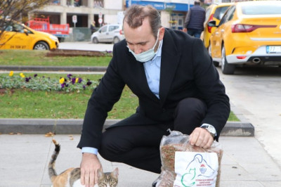 HERKES EVDE YALOVA BELEDİYESİ CAN DOSTLAR İÇİN GÖREVDE