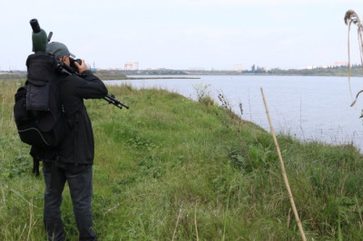 HERSEK LAGÜNÜ’NDE 140 TÜR TESPİT ETTİ