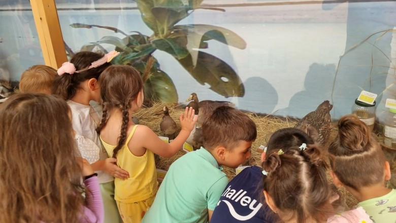 Minik Öğrenciler, Kuşlara Hayran Kaldı