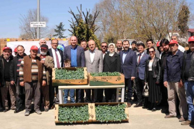 Son dakika haberi: Yalova'nın atıl arazileri projelerle tarıma kazandırılıyor