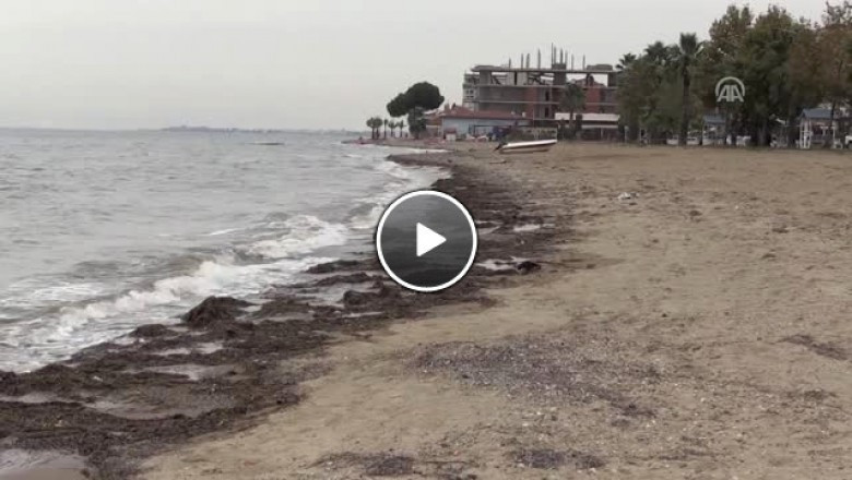 Yalova'da 25 Metre Çekilen Deniz Eski Haline Döndü