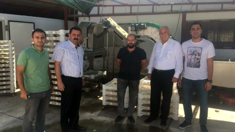 Yalova'ya Termal Su ile Gıda Kurutma Tesisi Kurulacak