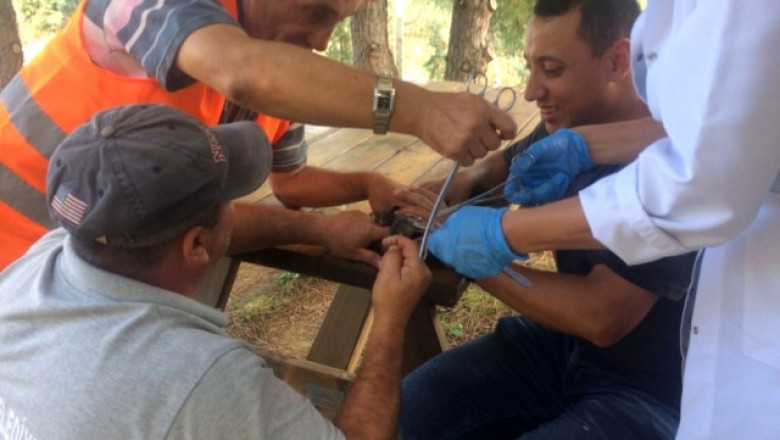 Yaralı Balıkçıl Hayata Döndürüldü