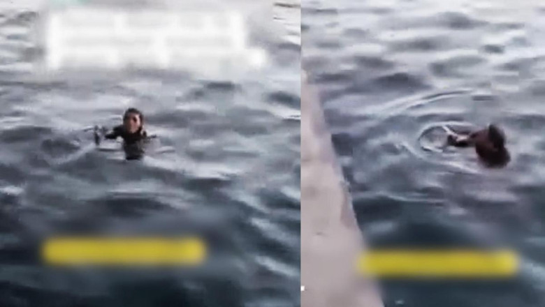 Denize düştü, yardım istedi! ALDIĞI CEVAP GÜNDEM OLDU