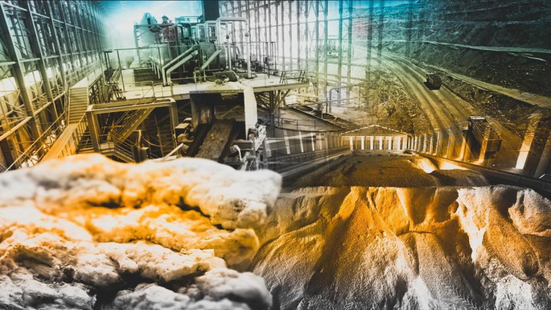 Borda 2024'te satış rekoru kırıldı