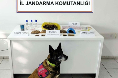 Muğla'da apart odasındaki uyuşturucuyu 'Uçak' buldu; 1 tutuklama