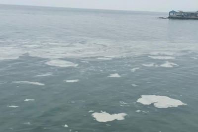 Mudanya'yı müsilaj sardı