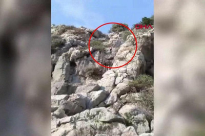 Nergis toplamak isteyen çocuklar dağda mahsur kaldı