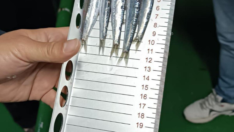 Bodrum’da hamsi avına çıkanlara yönelik denetim gerçekleştirdi