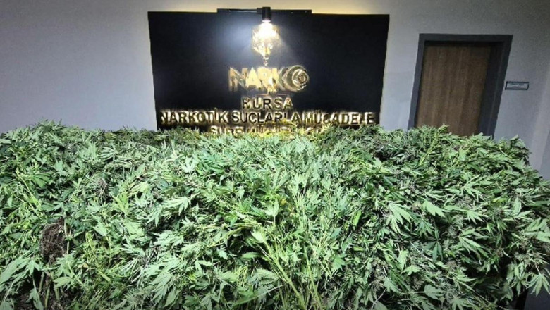 3 katlı binada kenevir yetiştirip uyuşturucu imal eden 5 kişiye gözaltı