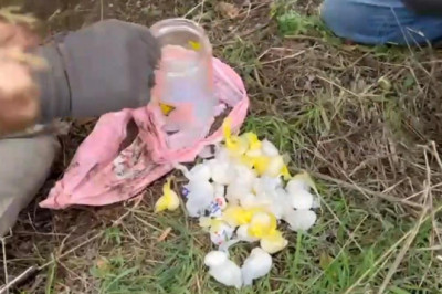 Uyuşturucuyu kavanozla evinin bahçesine gömen kadın tutuklandı