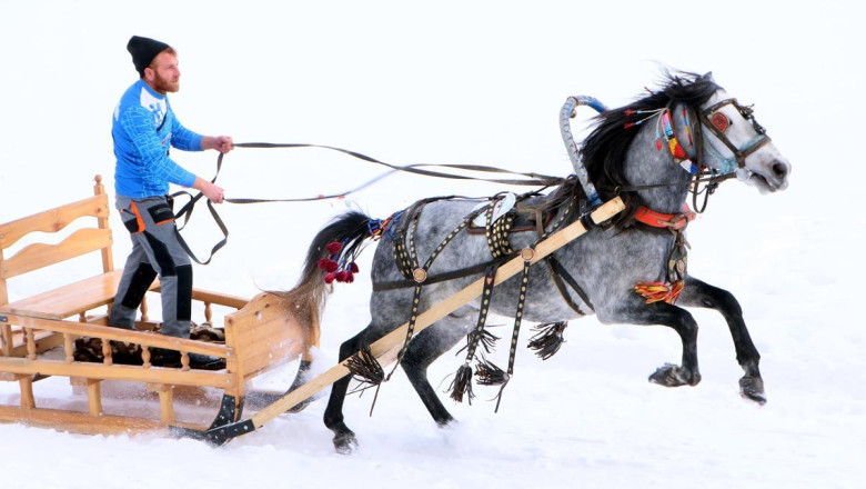 Erzurum'da atlı kızak şampiyonası