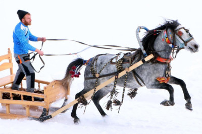 Erzurum'da atlı kızak şampiyonası