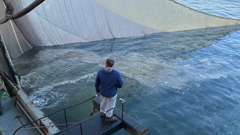 Marmara Denizi'nde Ağlara Balık Yerine Müsilaj Takıldı