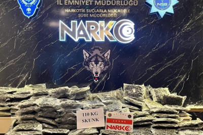 Kapıkule Sınır Kapısından yurda giriş yapan iki TIR'da 30 milyon lira değerinde uyuşturucu ele geçirildi